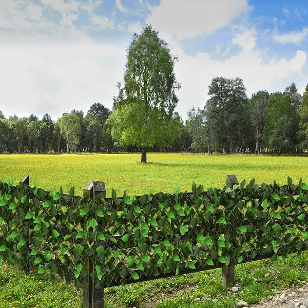 Naturligt insynsskydd för trädgården