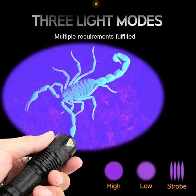 Bärbar LED UV-inspektionslampa — Kompakt fläckdetektor med 395 nm