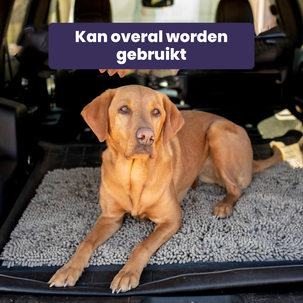 Dörrmatta för hundar | Superabsorberande | Håller ditt hem rent