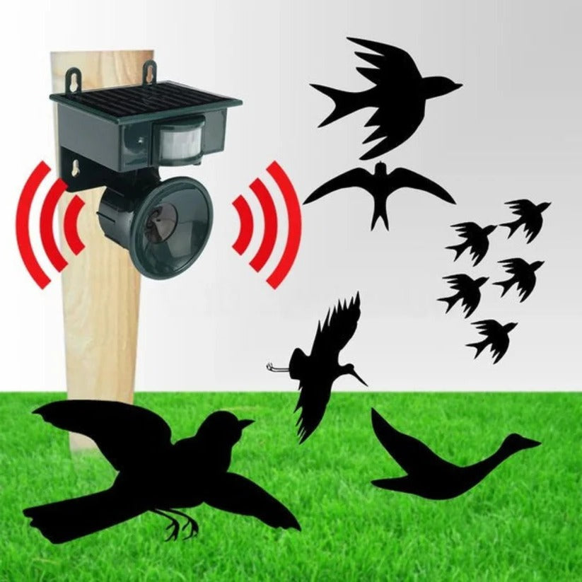 Effektiv utomhusfågelskrämma och duvskrämma med rörelsesensor