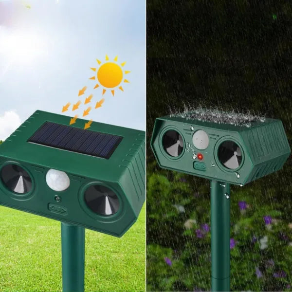 Soldriven djurskrämma