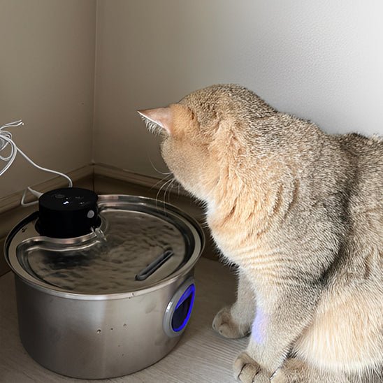 Vattenfontän för katt | Trådlös fontän
