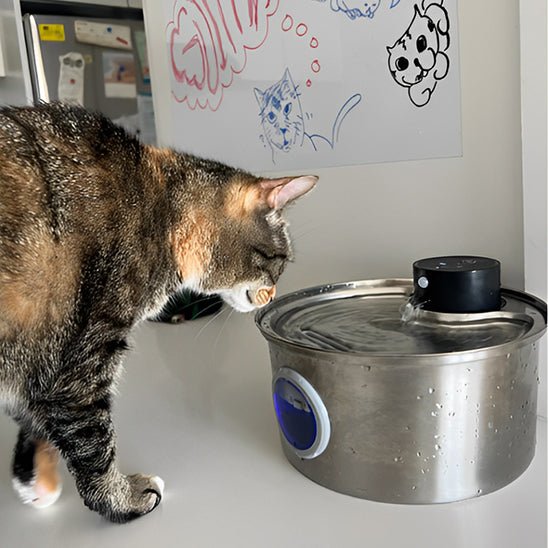 Vattenfontän för katt | Trådlös fontän