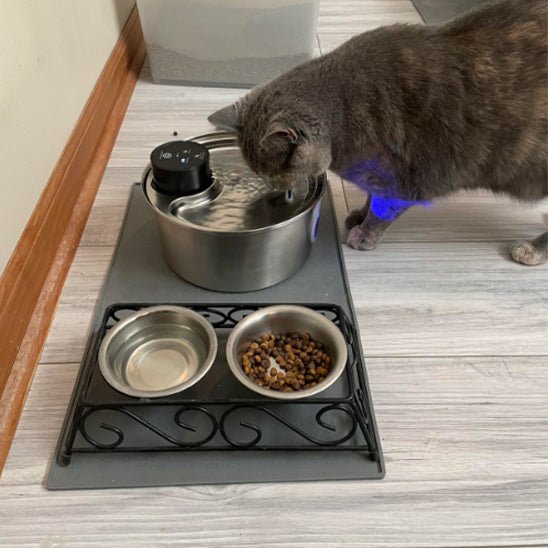 Vattenfontän för katt | Trådlös fontän